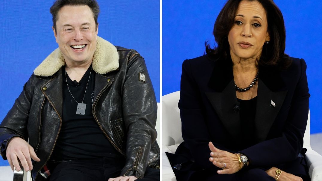 Is Elon Musk right about Kamala?